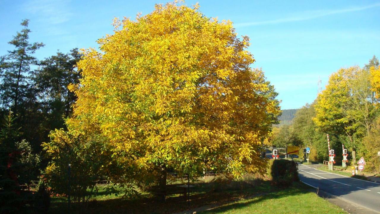 Sandebeck Haus Am Teutoburgerwald 아파트 외부 사진